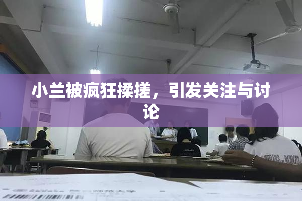 小兰被疯狂揉搓，引发关注与讨论