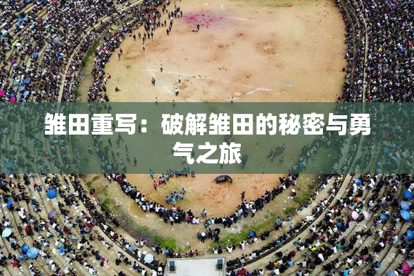 雏田重写：破解雏田的秘密与勇气之旅