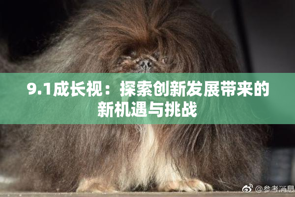 9.1成长视：探索创新发展带来的新机遇与挑战
