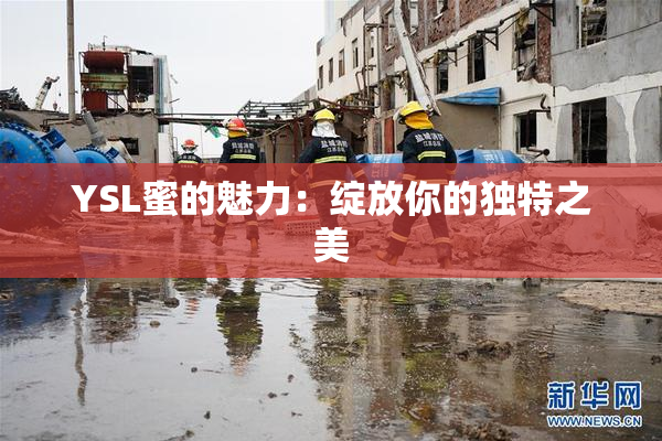 YSL蜜的魅力：绽放你的独特之美