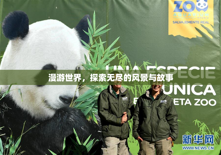 漫游世界，探索无尽的风景与故事