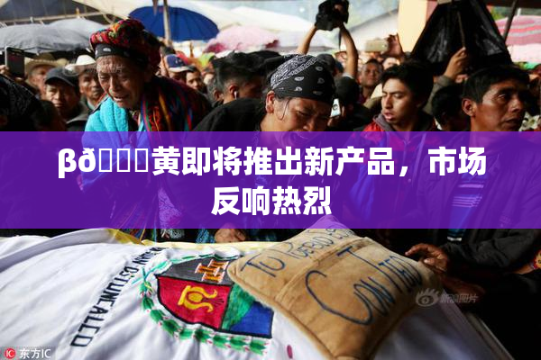 β🔞黄即将推出新产品，市场反响热烈