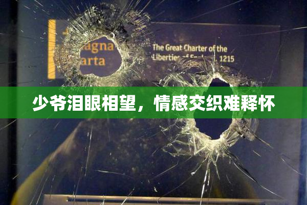 少爷泪眼相望，情感交织难释怀
