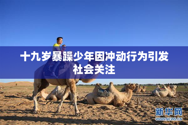 十九岁暴躁少年因冲动行为引发社会关注