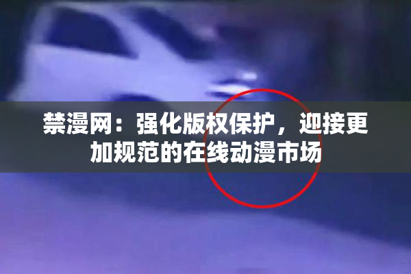 禁漫网：强化版权保护，迎接更加规范的在线动漫市场