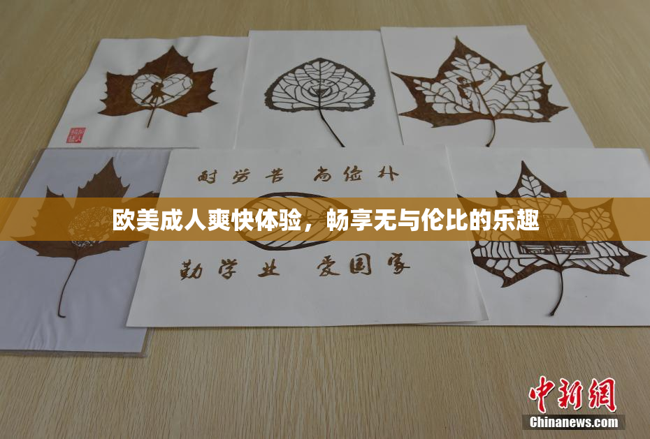 欧美成人爽快体验，畅享无与伦比的乐趣