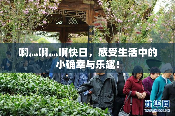 啊灬啊灬啊快日，感受生活中的小确幸与乐趣！