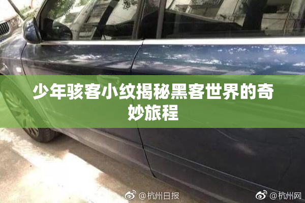 少年骇客小纹揭秘黑客世界的奇妙旅程