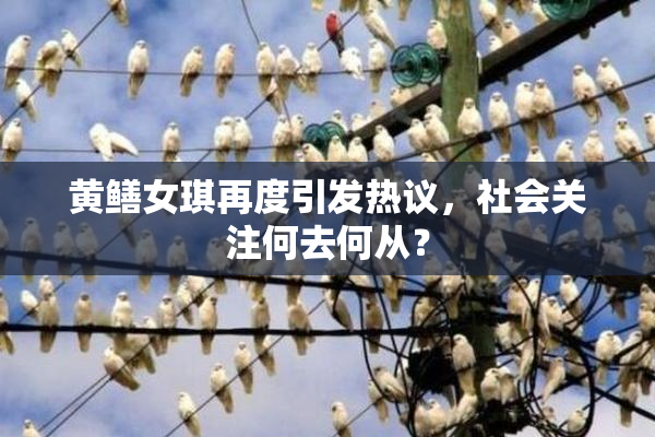 黄鳝女琪再度引发热议，社会关注何去何从？