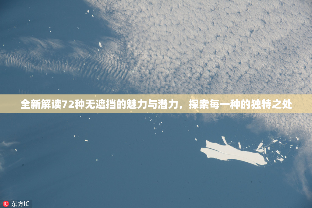 全新解读72种无遮挡的魅力与潜力，探索每一种的独特之处