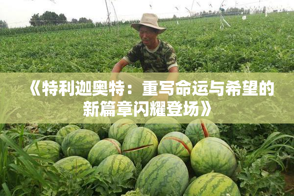 《特利迦奥特：重写命运与希望的新篇章闪耀登场》
