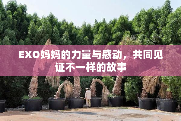 EXO妈妈的力量与感动，共同见证不一样的故事