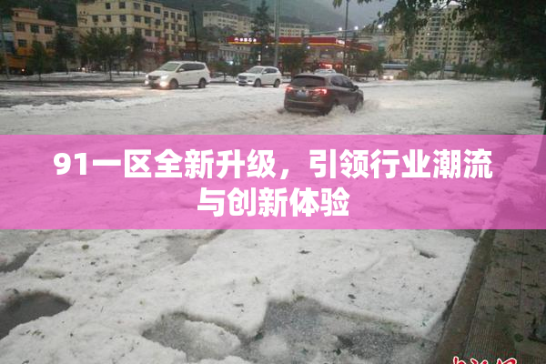 91一区全新升级，引领行业潮流与创新体验