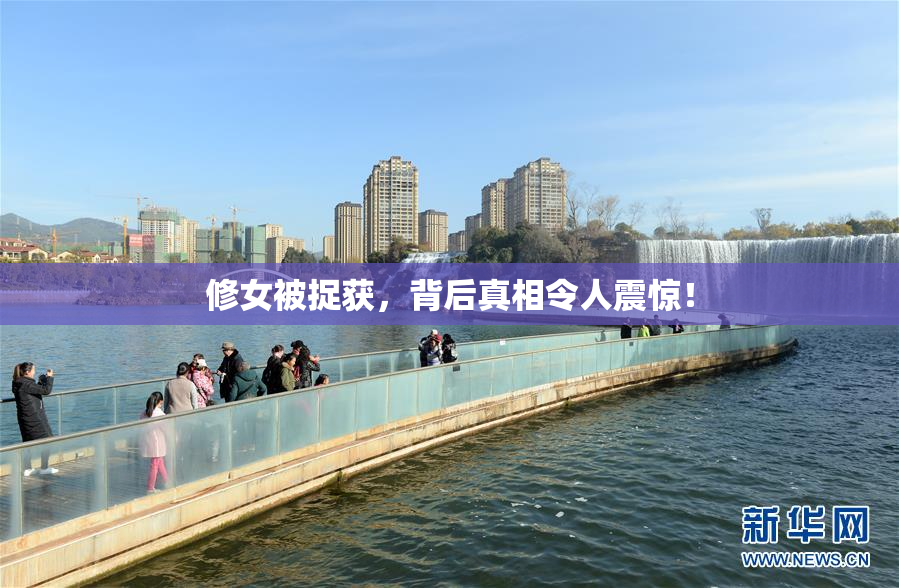 修女被捉获，背后真相令人震惊！