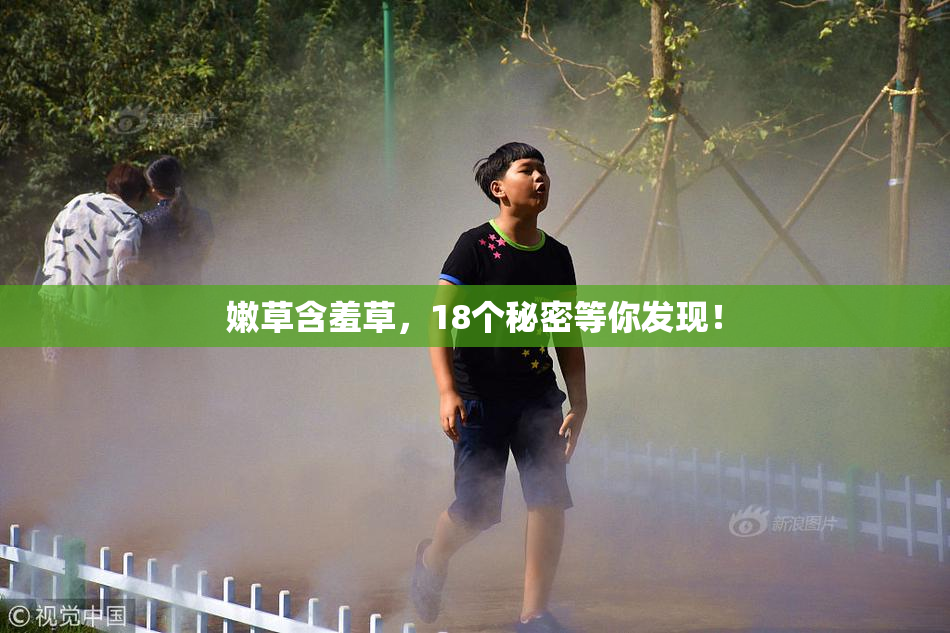 嫩草含羞草，18个秘密等你发现！