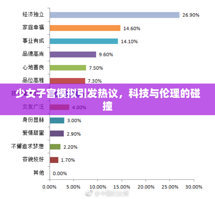 少女子宫模拟引发热议，科技与伦理的碰撞
