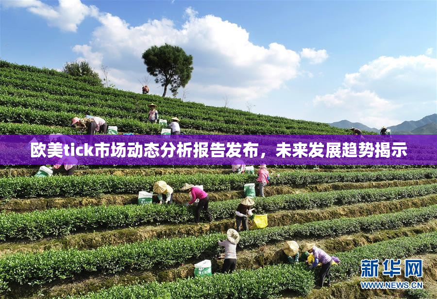 欧美tick市场动态分析报告发布，未来发展趋势揭示