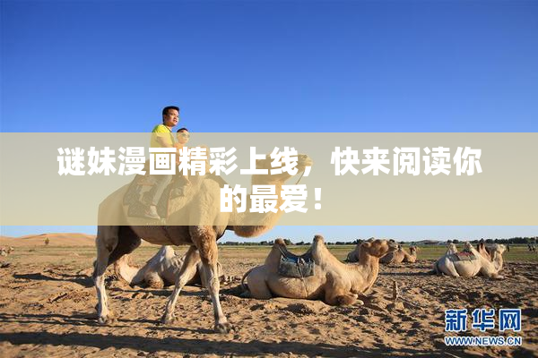 谜妹漫画精彩上线，快来阅读你的最爱！