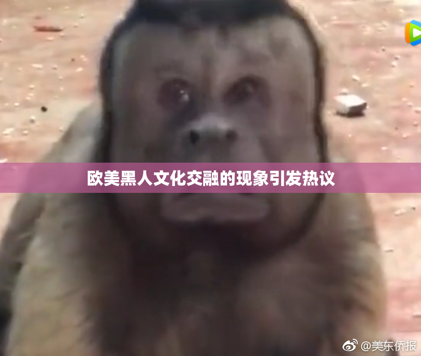 欧美黑人文化交融的现象引发热议