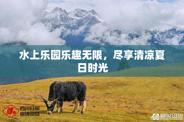 水上乐园乐趣无限，尽享清凉夏日时光