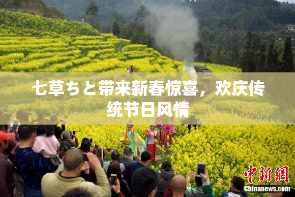 七草ちと带来新春惊喜，欢庆传统节日风情
