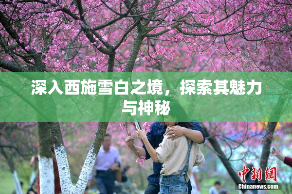 深入西施雪白之境，探索其魅力与神秘