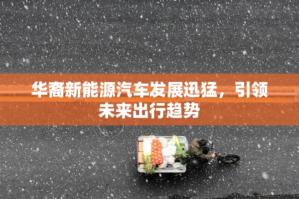 华裔新能源汽车发展迅猛，引领未来出行趋势