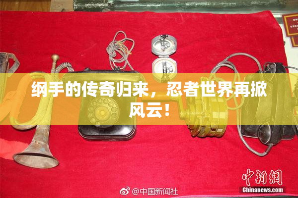 纲手的传奇归来，忍者世界再掀风云！