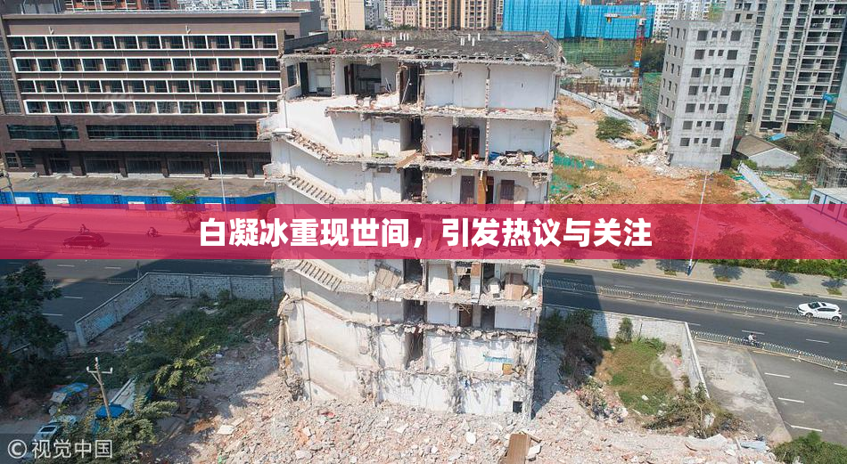白凝冰重现世间，引发热议与关注