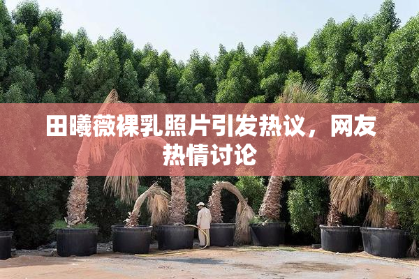 田曦薇裸乳照片引发热议，网友热情讨论