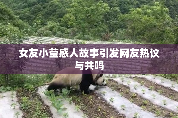 女友小莹感人故事引发网友热议与共鸣
