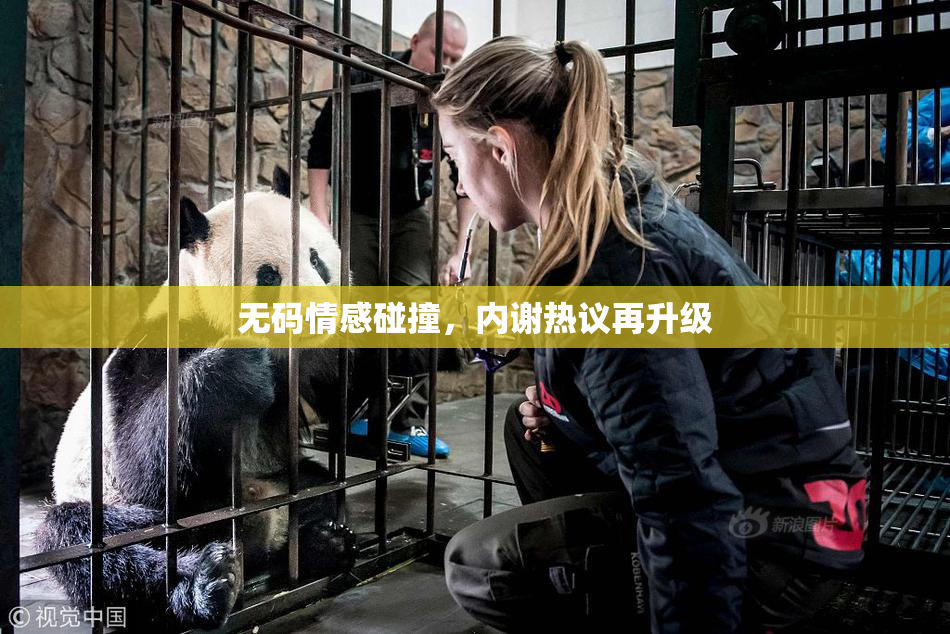 无码情感碰撞，内谢热议再升级