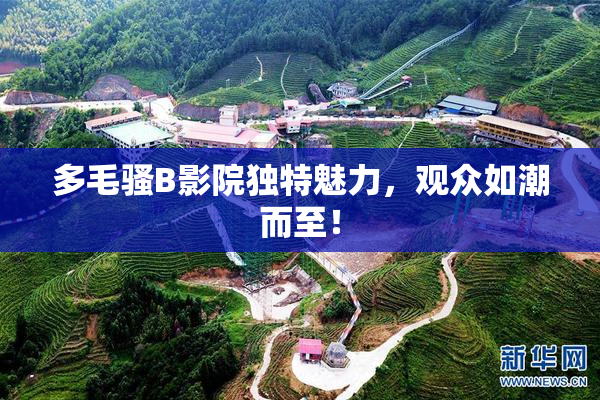 多毛骚B影院独特魅力，观众如潮而至！