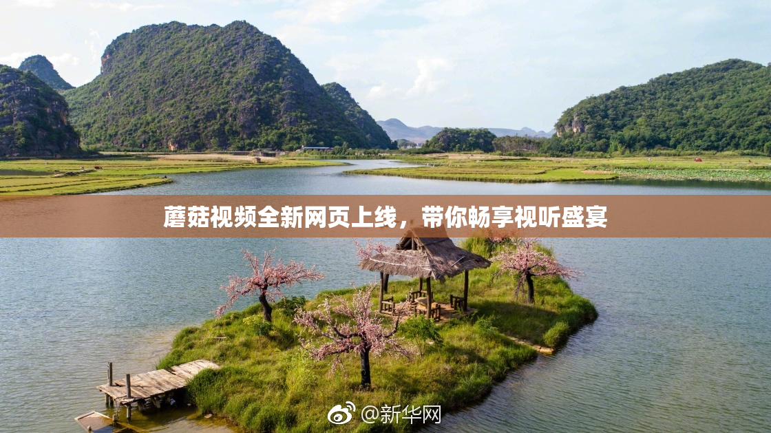 蘑菇视频全新网页上线，带你畅享视听盛宴