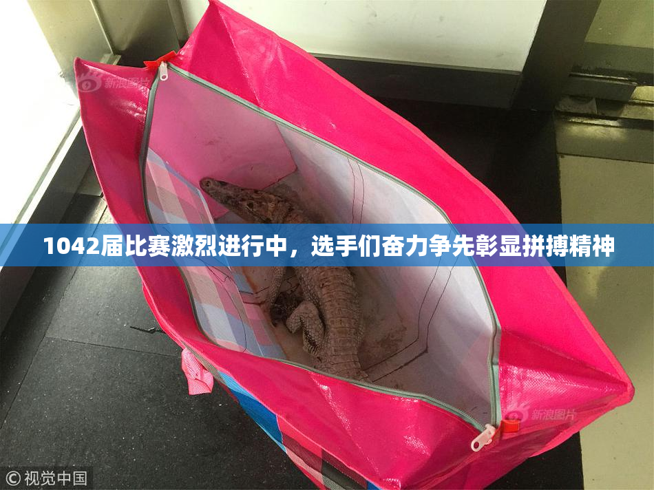 1042届比赛激烈进行中，选手们奋力争先彰显拼搏精神