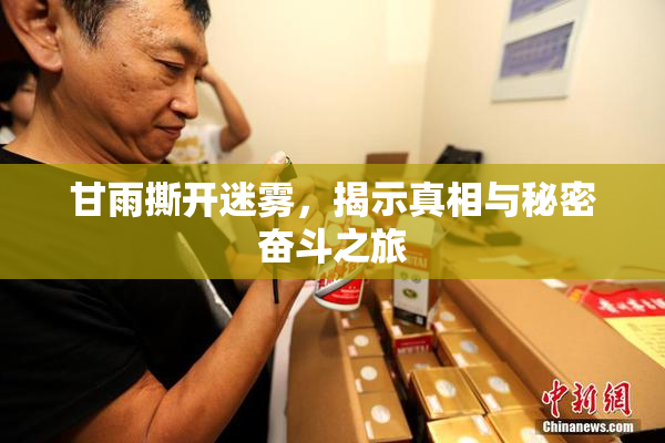 甘雨撕开迷雾，揭示真相与秘密奋斗之旅
