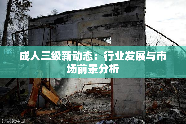 成人三级新动态：行业发展与市场前景分析