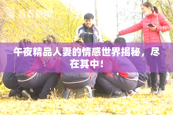 午夜精品人妻的情感世界揭秘，尽在其中！