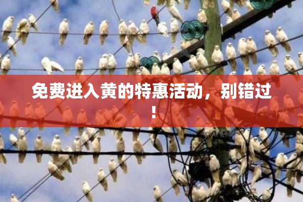 免费进入黄的特惠活动，别错过！