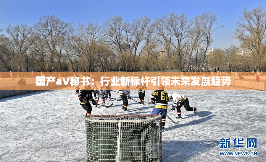 国产aV秘书：行业新标杆引领未来发展趋势