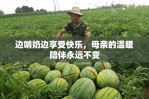 边啃奶边享受快乐，母亲的温暖陪伴永远不变