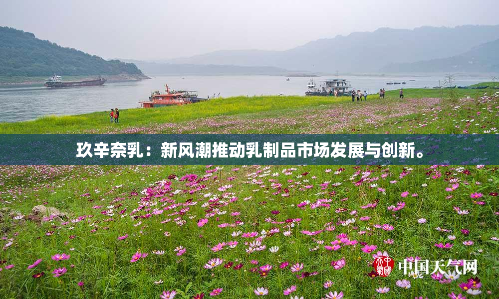 玖辛奈乳：新风潮推动乳制品市场发展与创新。