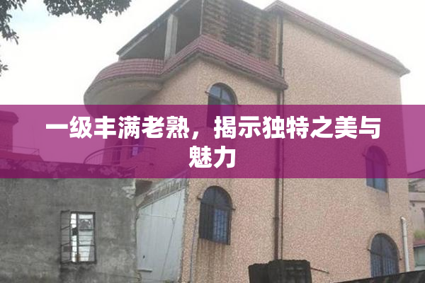 一级丰满老熟，揭示独特之美与魅力