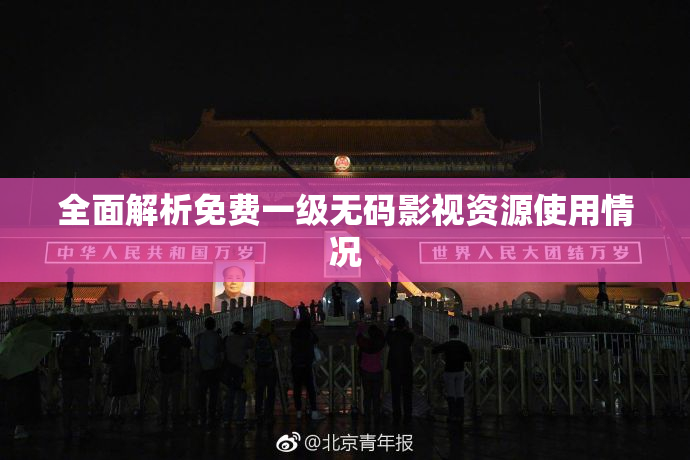 全面解析免费一级无码影视资源使用情况