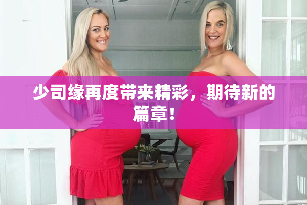少司缘再度带来精彩，期待新的篇章！
