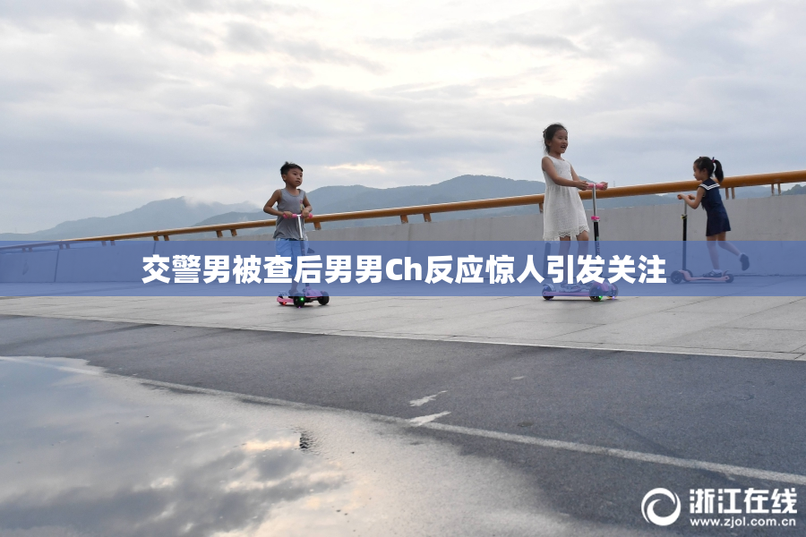 交警男被查后男男Ch反应惊人引发关注