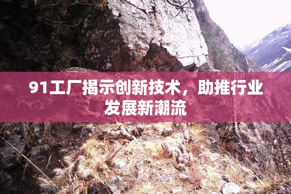 91工厂揭示创新技术，助推行业发展新潮流