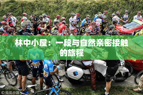 林中小屋：一段与自然亲密接触的旅程