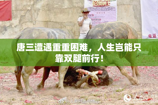 唐三遭遇重重困难，人生岂能只靠双腿前行！