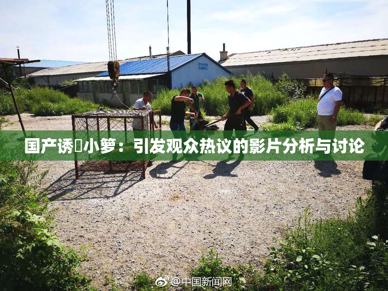 国产诱奷小箩：引发观众热议的影片分析与讨论
